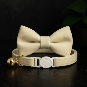 Velvet Elegance Bow Collar